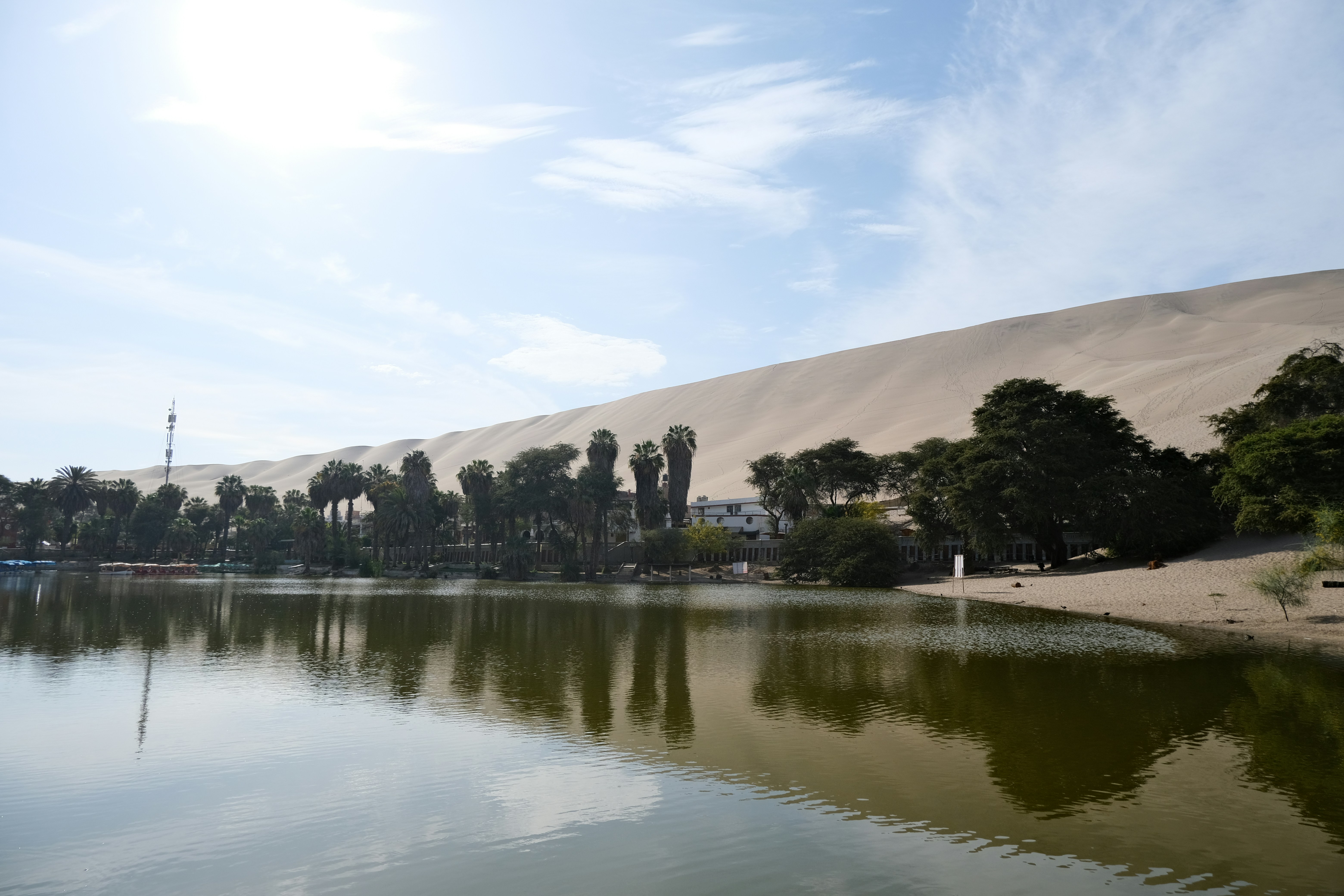 Huacachina oasis with palm trees reflected in calm water and massive sand dunes behind, Ica, Peru
