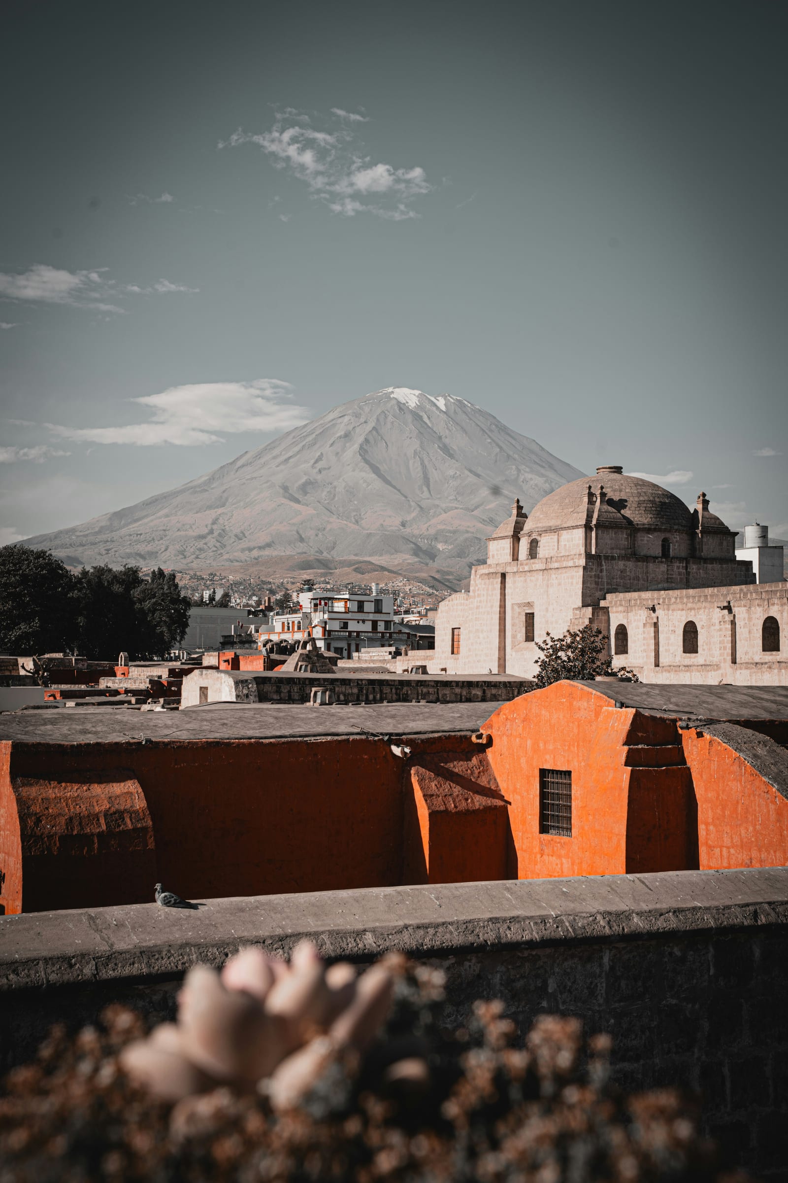 Steep terraced walls of Colca Canyon with Andean condors soaring above, Arequipa, Peru