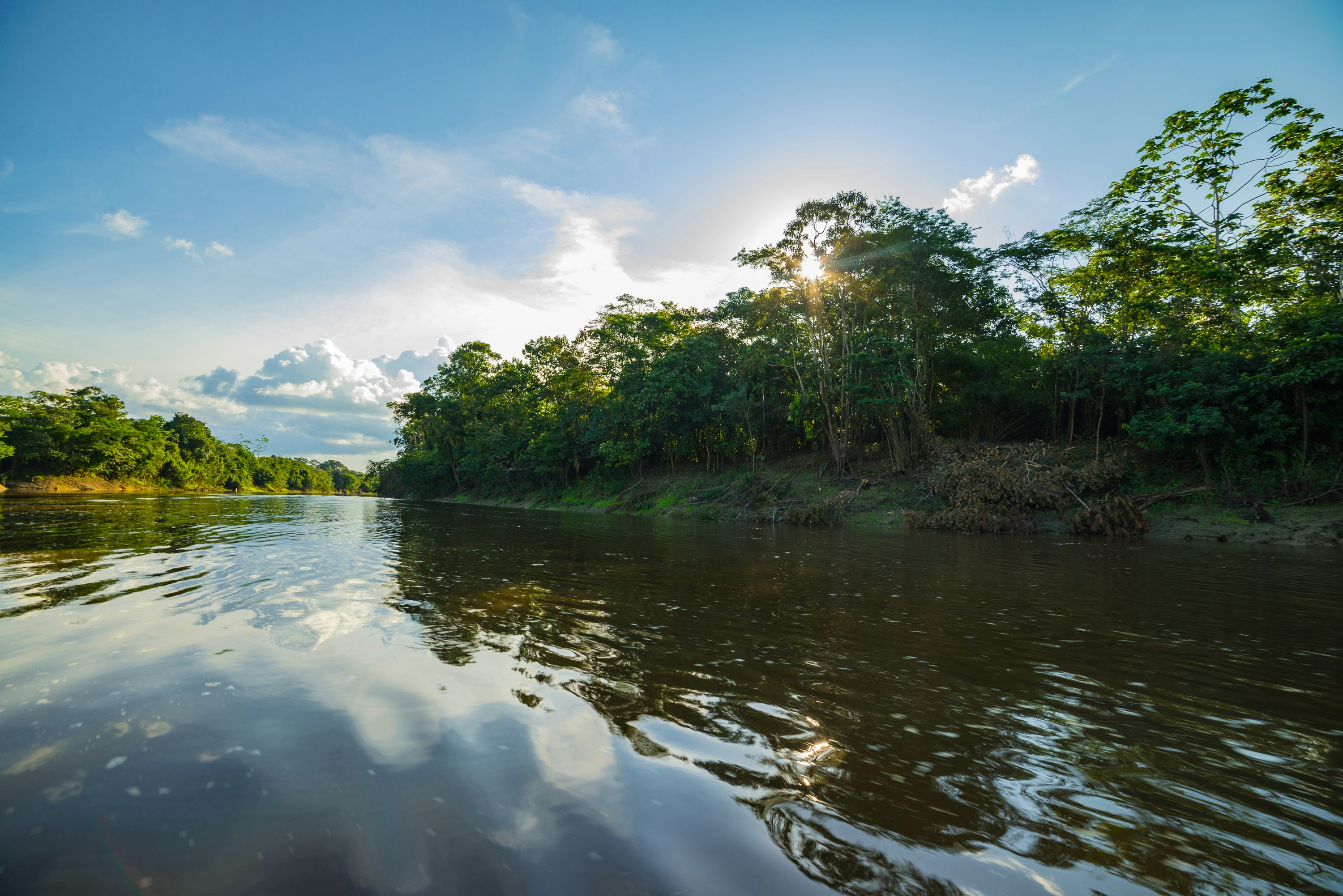 Amazon river at golden hour with tropical trees lining the far bank, Pucallpa Peru