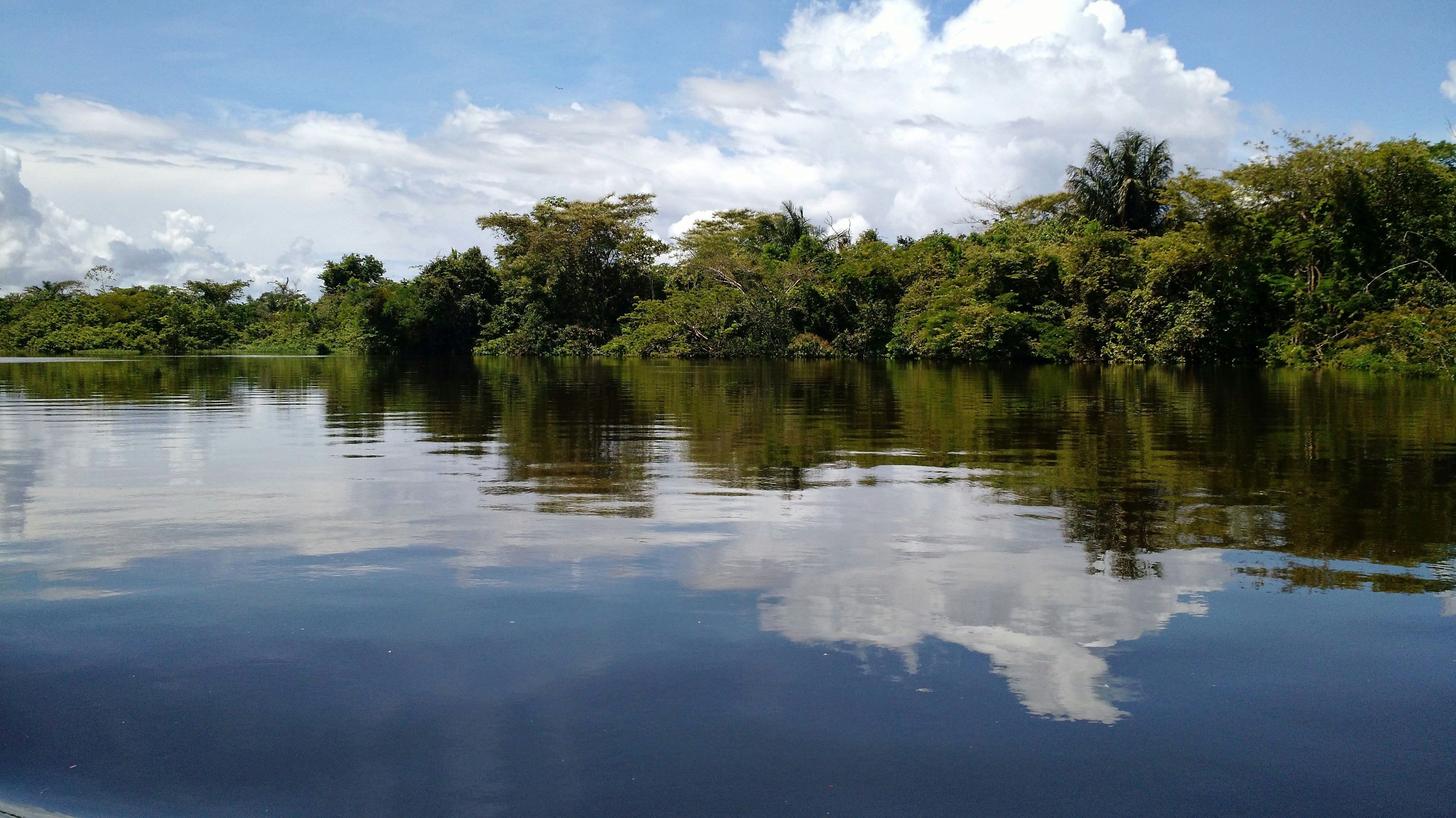 Amazon river with tropical jungle reflected in still water, Puerto Maldonado Peru