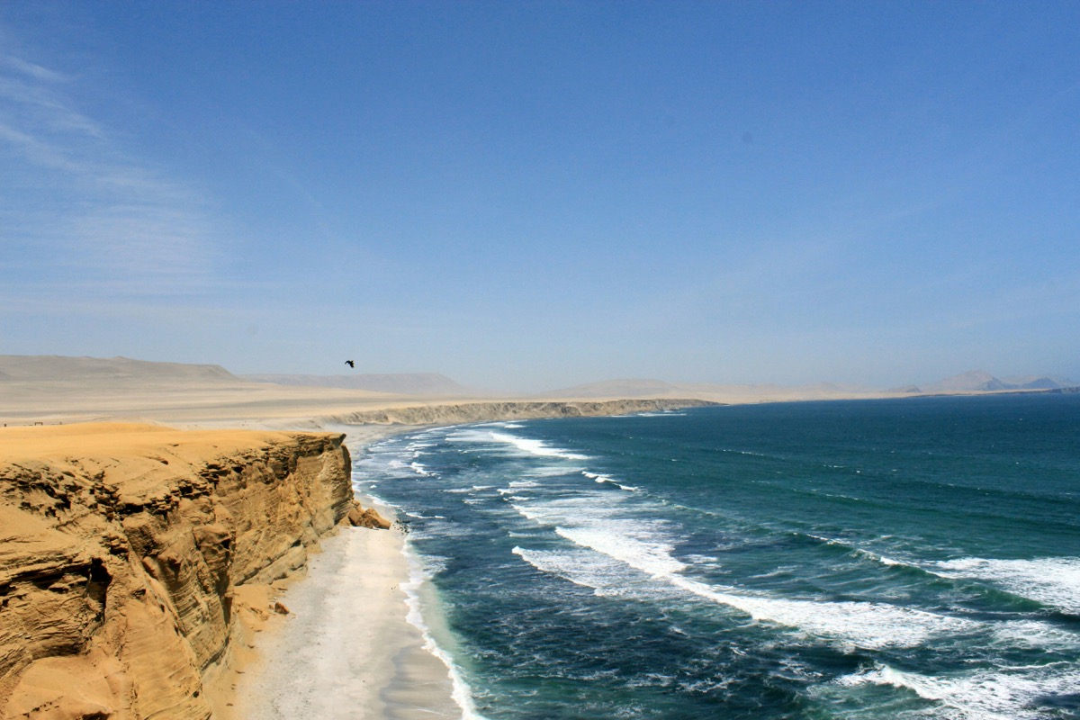 Sea lions and Humboldt penguins on the rocky Ballestas Islands off Paracas, Peru