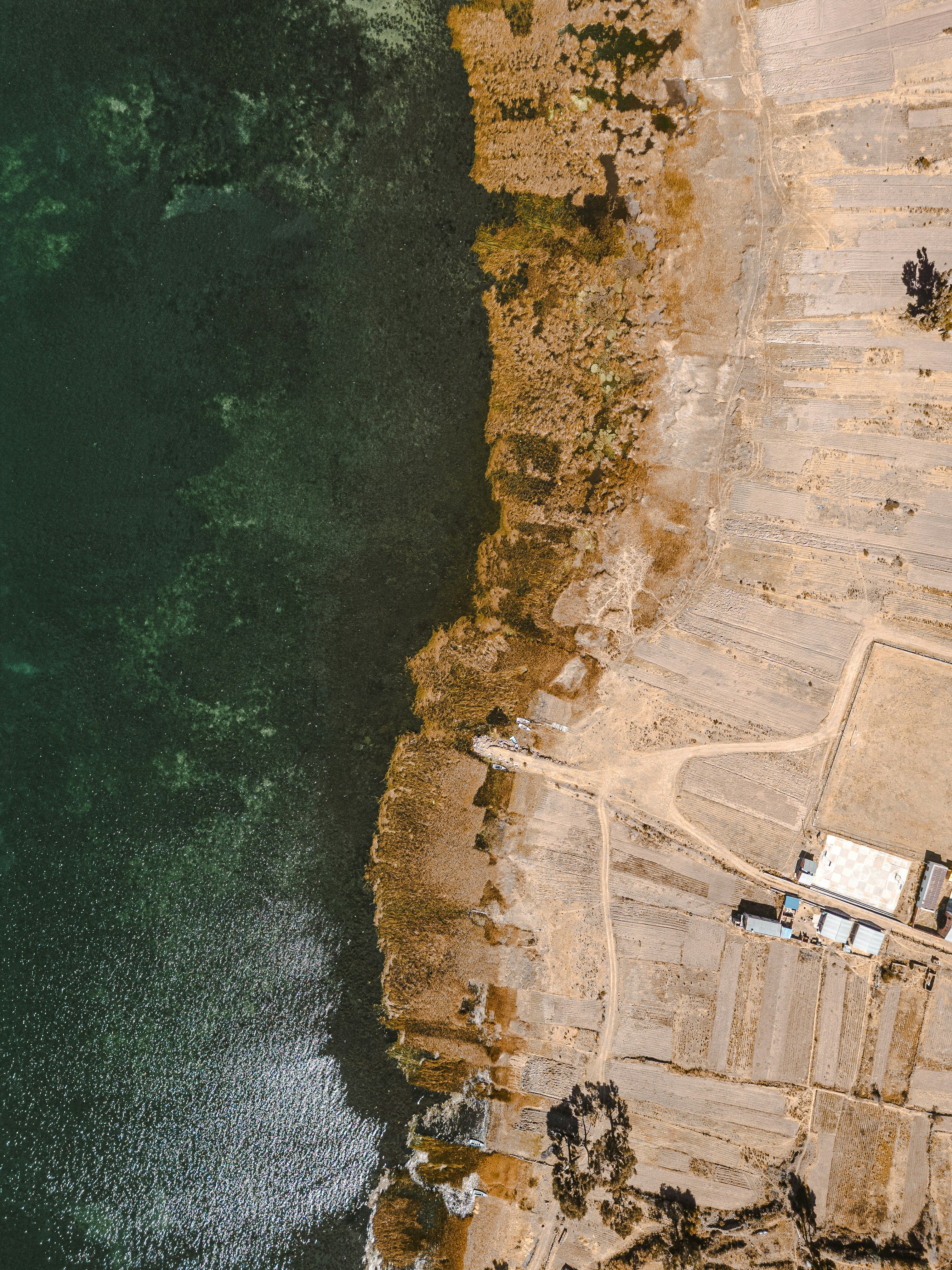 Aerial view of Lake Titicaca shoreline with farmland terraces, Puno Peru